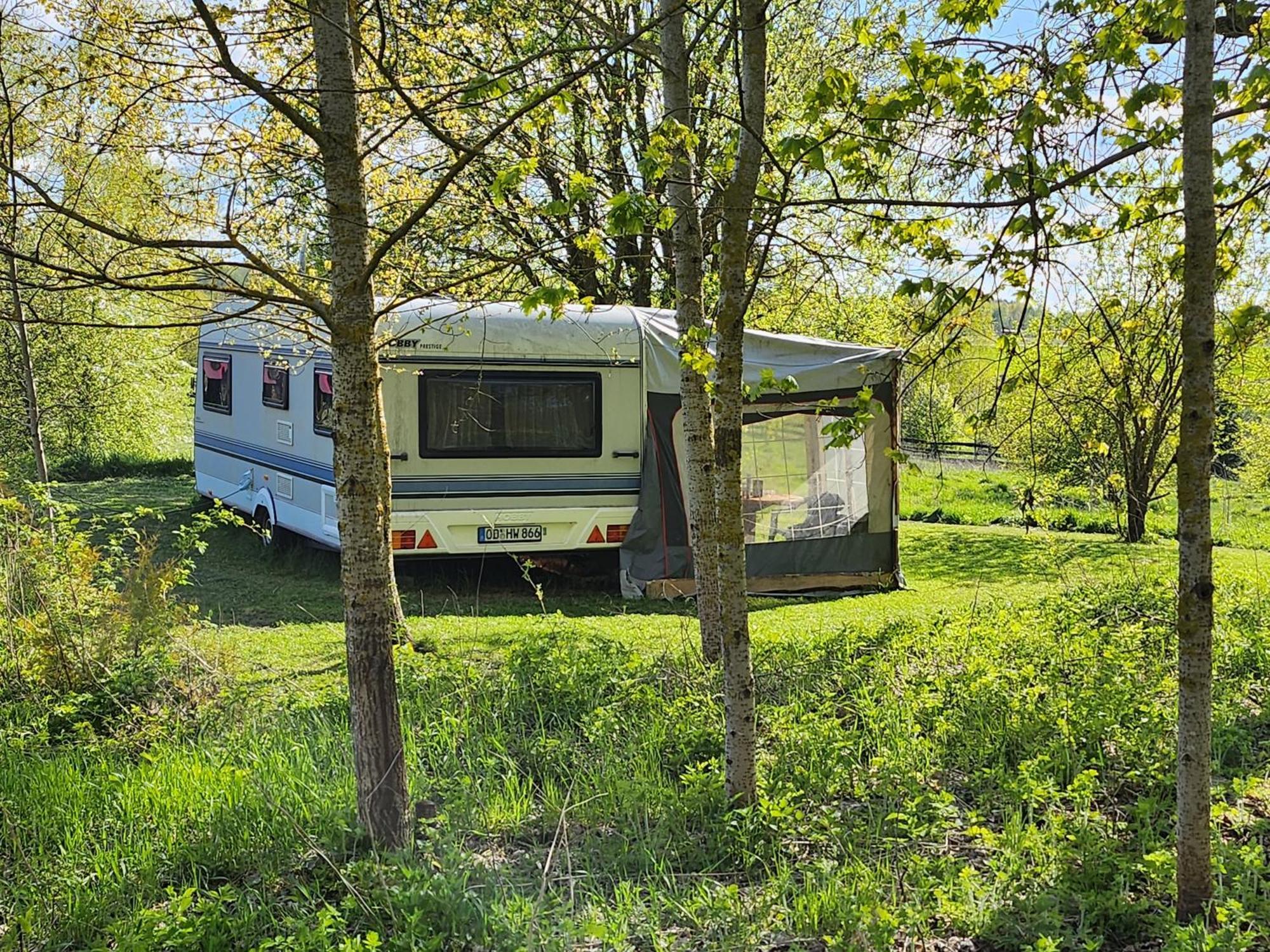 House In Nature Varėna I Eksteriør bilde